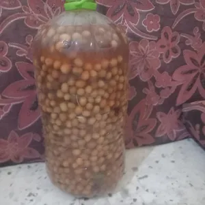 ‏زيوت‏4