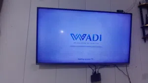 تلفزيون يحتوي على نت