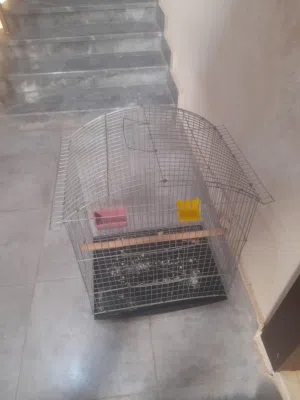 قفص طيور حجم كبير