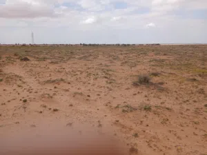 Farm Land for Rent in Misrata Other
