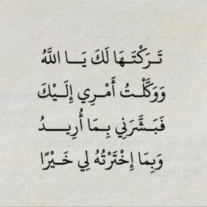 mohamedwagh 
