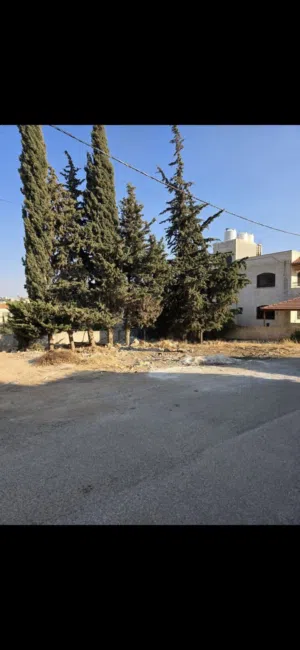 Residential Land for Sale in Amman Naour