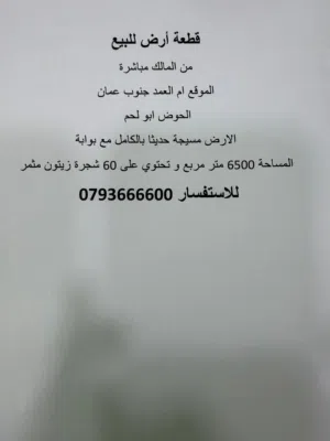 قطعة أرض للبيع من المالك مباشرة الموقع أم العمد جنوب عمان