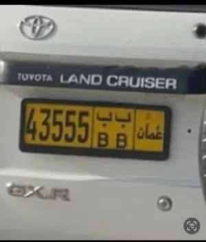 رقم مميز 43555
