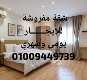80 m2 2 Bedrooms Apartments for Rent in Monufia Shebin al-Koum
