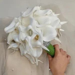 ريف عباس