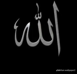 محمد جمال 