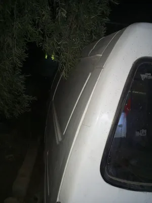 ‏ماعز‏4