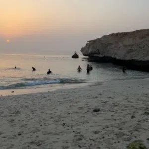ماجد 