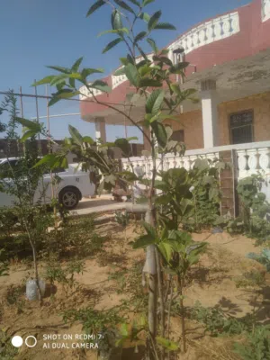 فيلا بمرسي مطروح الكيلو 4 طريق الوادي للبيع 375متر مبني175 مجانا