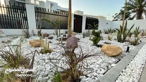 حجر زينة  بكل الأحجام