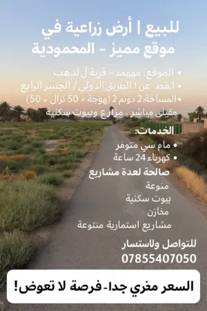 ‏الاستخدام المتعدد ‏.‏ 2 دونم ‏.‏ المالك‏2