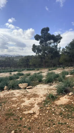 Farm Land for Sale in Mafraq Nadira