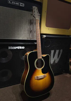 takamine semi acoustic guitar