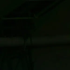 محمد 