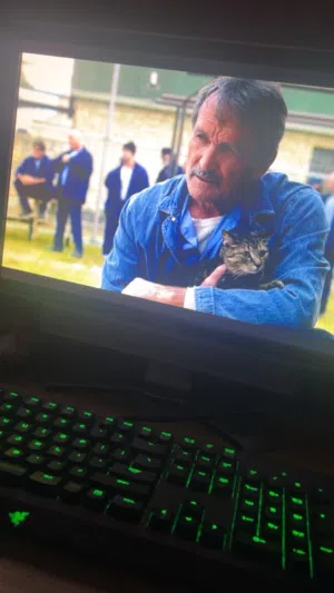 كيبورد Razer BlackWidow Ultimate 2014 ( النسخه الكلاسيكيه والاصليه )