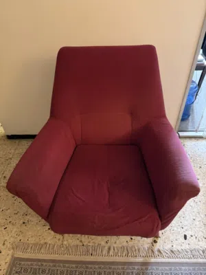 تخم قنفات للبيع