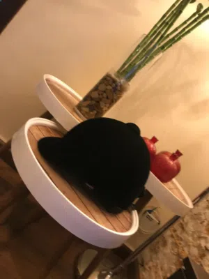 خوذة فروسية