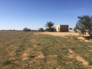Farm Land for Sale in Jumayl Other