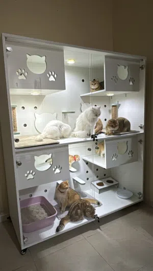 بيوت قطط وكلاب بأحجام مختلفه صنع محلي  cat and dog houses