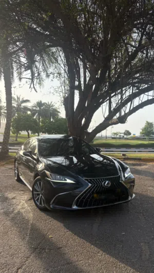 LEXUS ES300h 2020