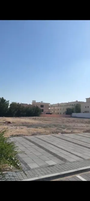 ارض سكنيه علي الطريق العام في محمد بن زايد