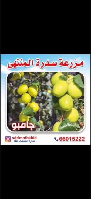 Farm Land for Sale in Al Jahra Abdali