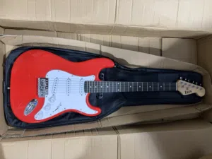 irin guitar