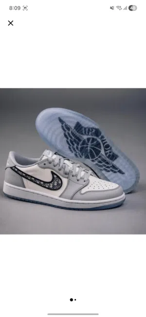 Nike Air Jordan Dior