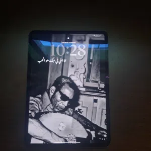 ipad pro 11-inch (m4)