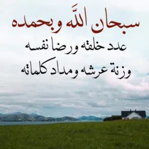 ابو ايهم 