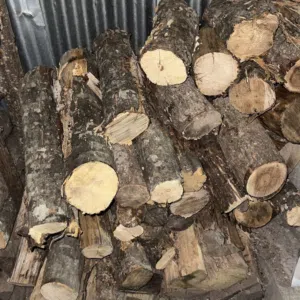 حطب / أخشاب للبيع بمختلف الاحجام صلب ويابس للتنور و الشوي