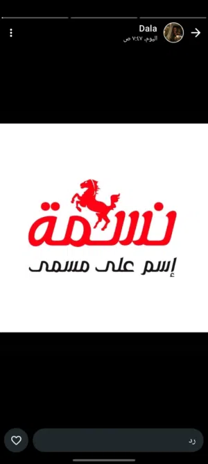 Mohamed Mahmoud Mohamed 
