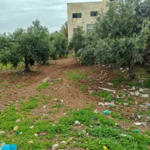 Residential Land for Sale in Irbid Bushra