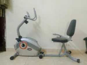 Heavy Duty Pro-Image Recumbent Bike - Medical Grade Comfort &  Descriptfor your home gym