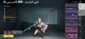 Pubg Accounts and Characters for Sale in Basra