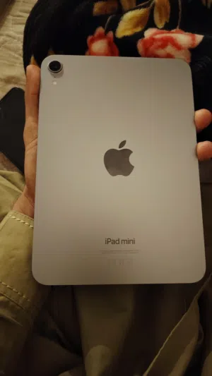 Ipad Mini 7 (a17 pro)