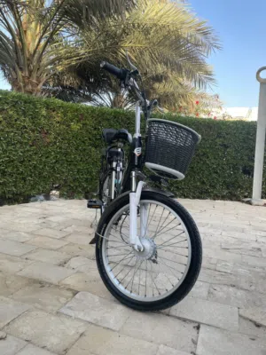سكوتر كهربائي للبيع electronic scooter