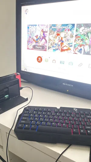 نيتيدو سويتش للبيع نظيف