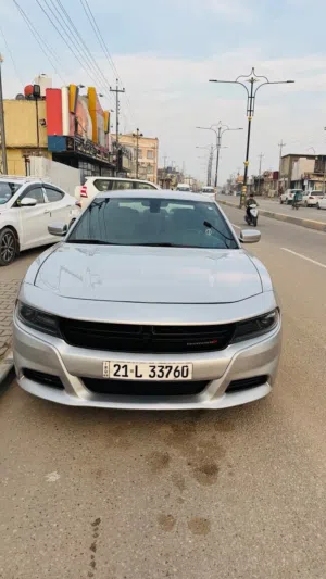 جارجر واورد امريكي للبيع