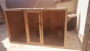سلام عليكم بارتي حمام ايجي امعه شرابتين وحضنتين