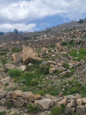 Residential Land for Sale in Taiz Al-Ta'iziyah Directorate