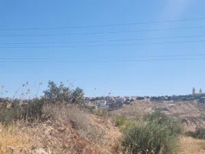 Residential Land for Sale in Amman Bilal
