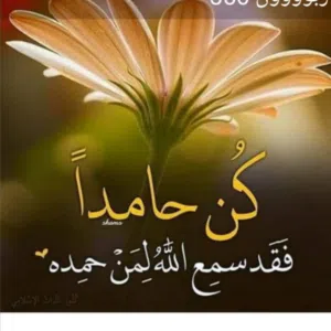 ابو نواف 