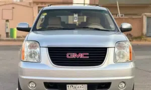 جي ام سي 2013