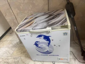 مجمدة دولفين للبيع