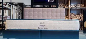 جمله او قطاعي