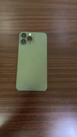 iPhone 13 Pro Max