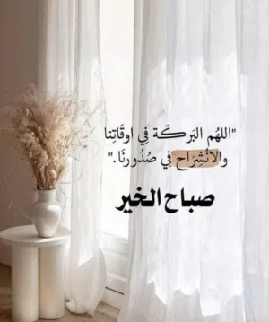 مكينه غسيل سجاد تركي موديل 2023