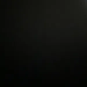 Tariq 